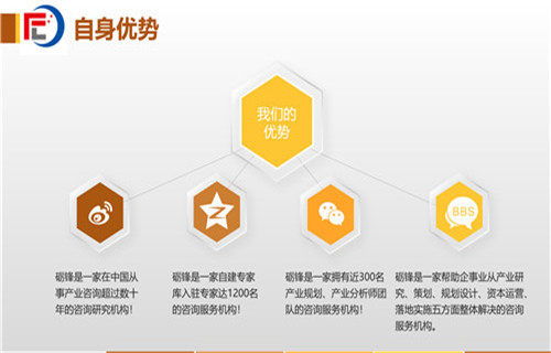 六安市社会稳定风险分析评估报告（甲级）——社会经济咨询服务的核心价值与实施路径