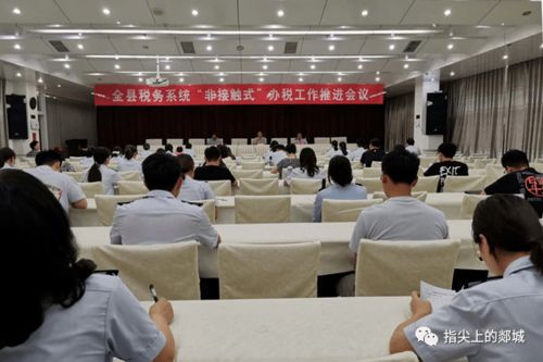 郯城税务 持续优化营商环境，以专业服务赋能经济社会发展大局